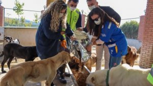 İzmir'deki can dostlar da unutulmadı