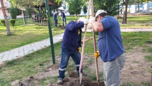 Keçiören'in parkları kış çiçekleri ile donatıldı