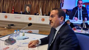 Kırkpınar, 4 hastane için Bakan Koca'dan destek istedi