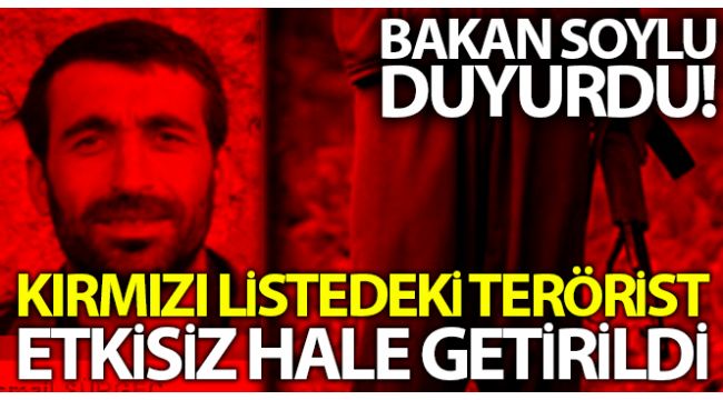 Kırmızı listedeki terörist etkisiz hale getirildi