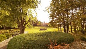 Kırşehir'de, Japonların eseri bahçe sonbaharda renkgarenk oldu