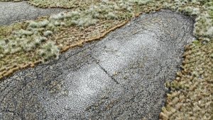 Kızılırmak Deltası alarm veriyor