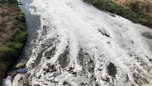 Kızıltepe'de derede oluşan köpükler korkutuyor