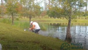 Köpeğini timsahın ağzından aldı