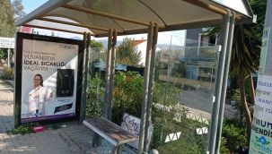 Magandalar işbaşında