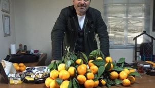 Mandalina yüz güldürüyor