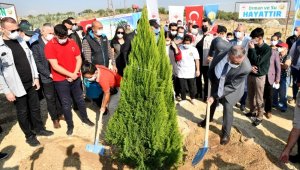 Mersin'de fidanlar toprakla buluştu