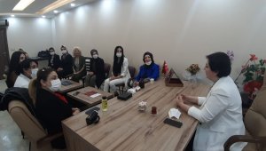 MHP heyetinden Mardin çıkarması