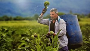 Nilüferde tarımsal faaliyetlerin merkezi "Çiftçi Evi" olacak