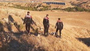 Ölü diye yanına gittiler ve...