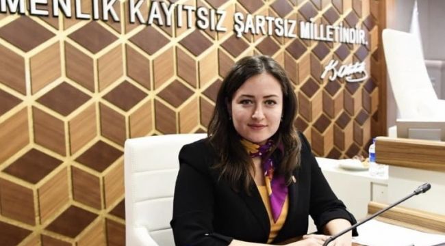 Özdemir: Başkan vekilliği görevini ifa edeceğim