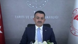 Pakdemirli: "Son 2 yılda tarımsal hasıla yüzde 47 arttı"