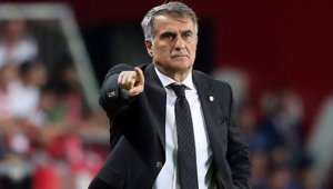 Şenol Güneş: Beni paspas yapamazsınız