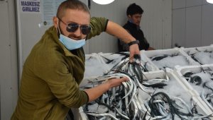 Sinop'ta zargana bereketi