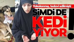 Sokak kedileri ve köpeklerini yiyen kadın!