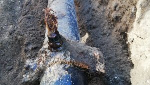 Suların az akmasının sebebi kunduz çıktı