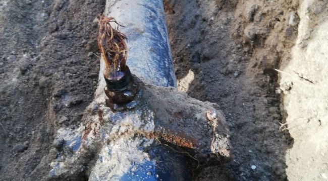 Suların az akmasının sebebi kunduz çıktı