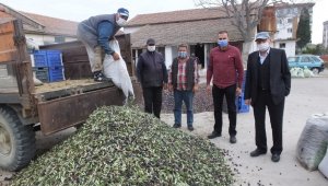 Tağşişin önlenmesine dair kanun zeytincileri sevindirdi