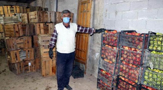 Tarım Bakanlığı: Çürük elmalar imha edildi