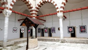 Tıp ile güzel sanatlar "plantomy" sergisinde buluştu