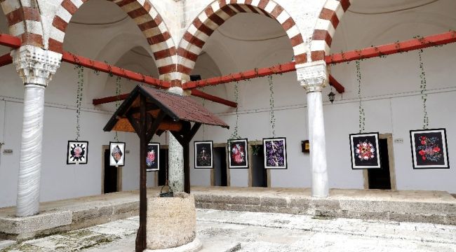 Tıp ile güzel sanatlar "plantomy" sergisinde buluştu