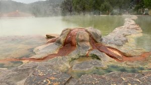 Turizm için Kaplıca araştırması