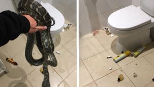 Tüyleri diken diken eden olay!