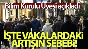 Vakaların artmasıyla ilgili ilginç tespit