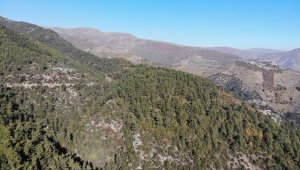 Yangından değil, kuraklıktan kavrulmaya başladılar