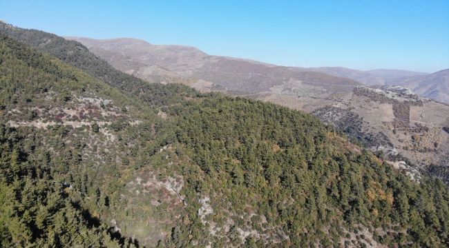 Yangından değil, kuraklıktan kavrulmaya başladılar