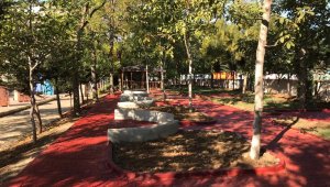 Yeşil Kartal için çalışmalar meyvelerini veriyor