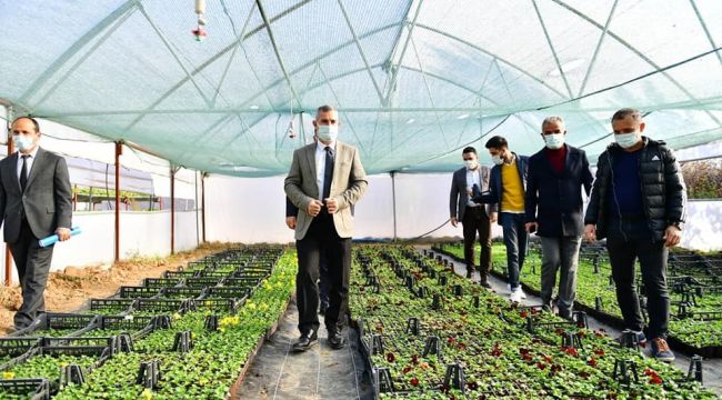Yeşilyurt Belediyesi kendi çiçeğini üretiyor
