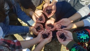 Zeytinin zeytinyağına dönüşmesi serüvenini izlediler