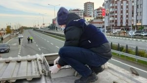 10 ton hamsiye el konuldu