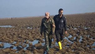 14 yaban ördeğini öldürdü