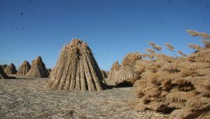 200 nüfuslu köy 5 ayda 1 milyon dolarlık ihracat yapıyor