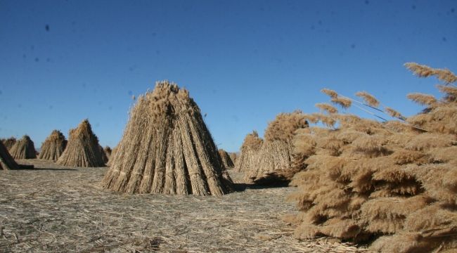 200 nüfuslu köy 5 ayda 1 milyon dolarlık ihracat yapıyor