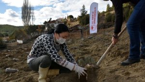 80 bin lavanta toprakla buluştu