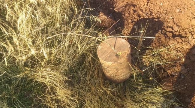 Adıyaman'da kova içine gizlenmiş patlayıcı madde bulundu