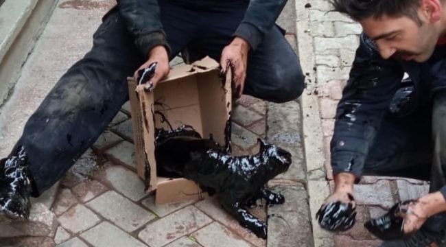 Akaryakıt tankına düşen kedi, 2 saatte temizlendi