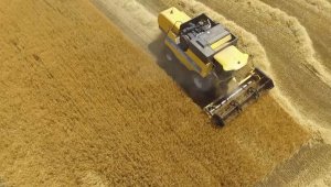 Aksaray'da tarımsal üretim değerinde artış