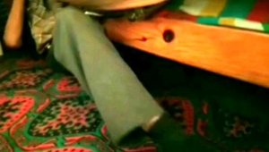 Annesinin "Buraya hiç gelmez" dediği hırsız, divanın altından çıktı