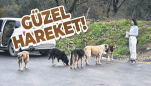 Arabadan indi, elleriyle besledi