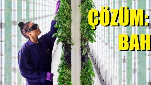 Arazi sorununu çözmek için yeni yöntem: Yapay zekalı dikey çiftlikler