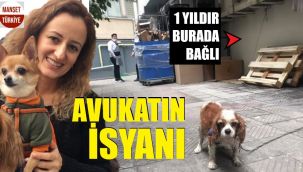 Avukatın uğraşı bir canı eziyetten kurtaramadı