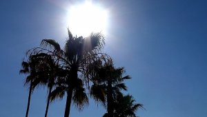 Aydın'da hava sıcaklıkları artacak