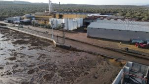 Ayvalık'ta çevre katliamı: Tonlarca atık dereye ve plaja aktı
