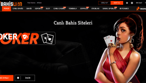 Bahis ve porno sitelerine operasyon