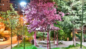 Başkentin parlayan yıldızı Mamak