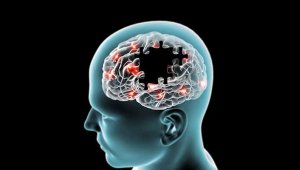 "Beyin piliyle hayata kaldığınız yerden devam"